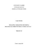 Pedagoška i didaktičko-metodička organizacija područne škole: studija slučaja